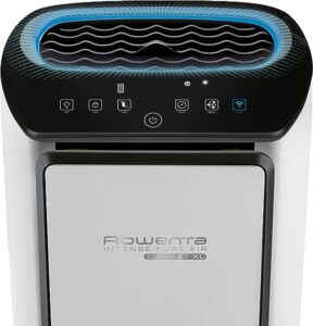 Purificador de aire Rowenta PU6080